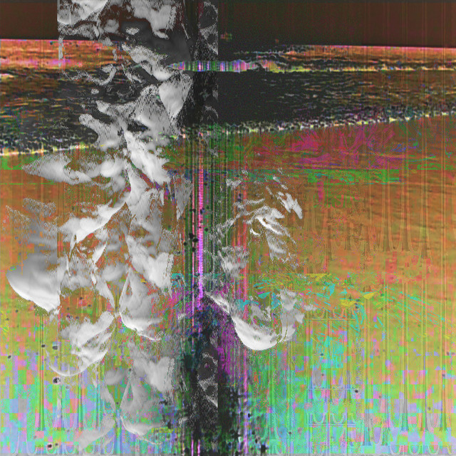 Night of the Long Knives cover art
