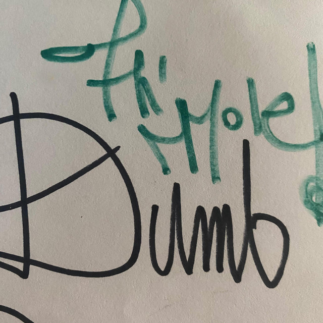 Dumb cover