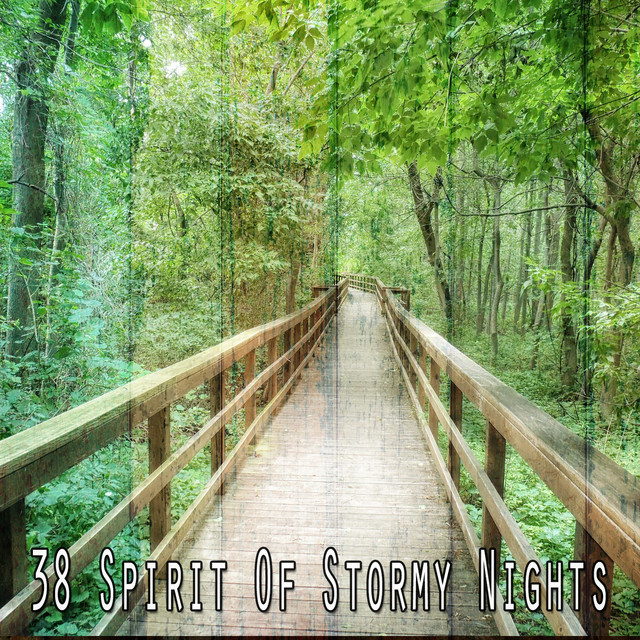 38 Spirit Of Stormy Nights cover art