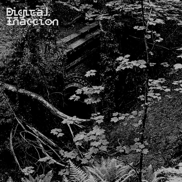 Digital Inaction