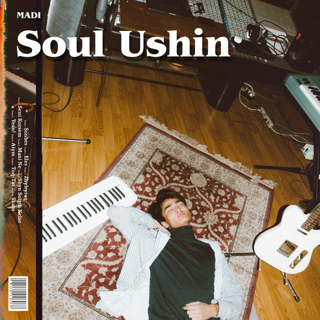 Soul Ushin cover art
