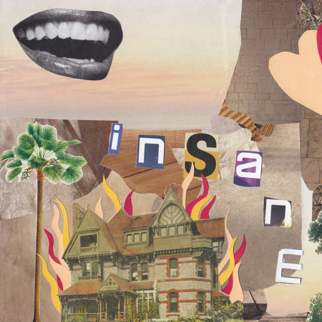 Insane cover art