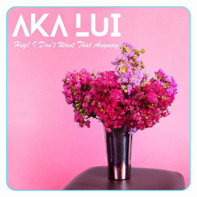 Hey! I Don't Want That Anyway - Single by AKA Lui | Spotify