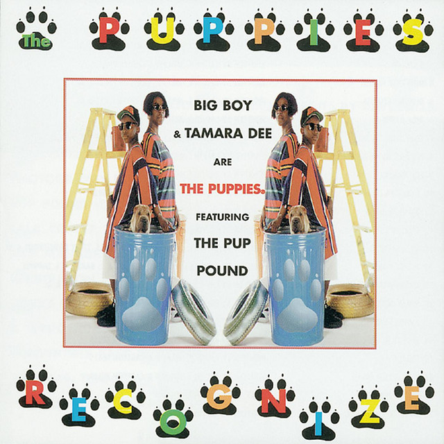 Recognize cover art