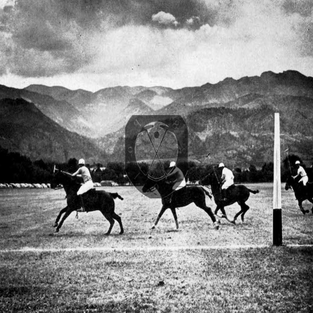 Polo 28 cover art
