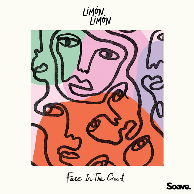 Face In The Crowd