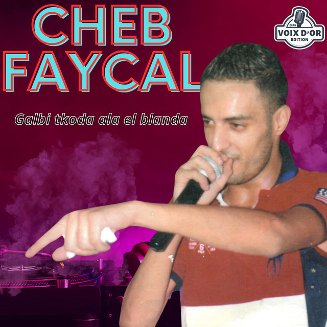 Galbi tkoda ala el blanda cover art