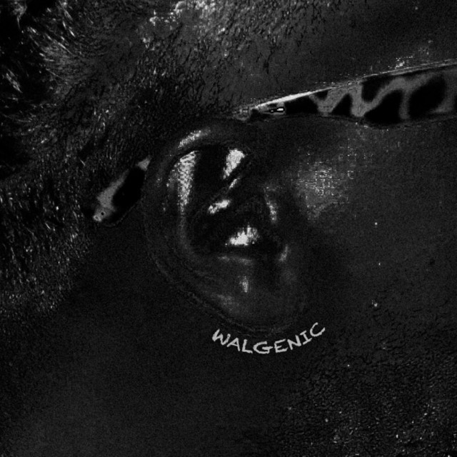 Walgenic cover art