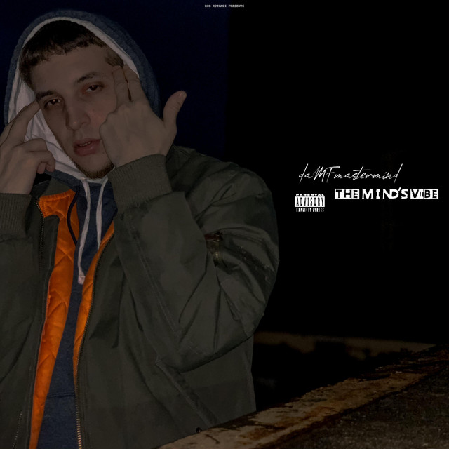 The Mind's Vibe cover art