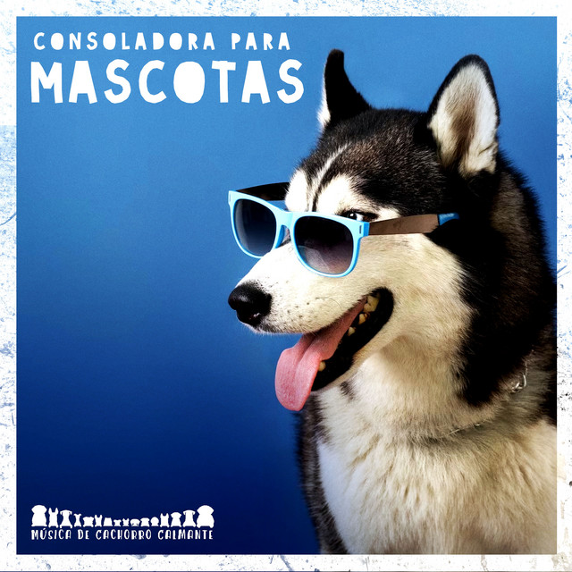 Consoladora para Mascotas - Album by Música de Cachorro Calmante | Spotify