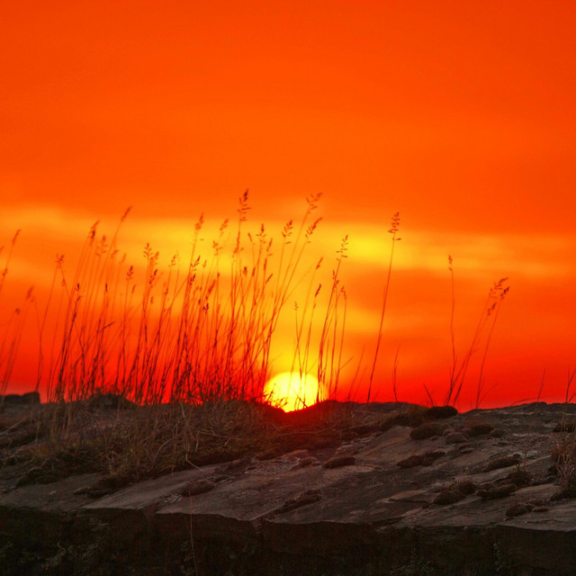 A New Dawn