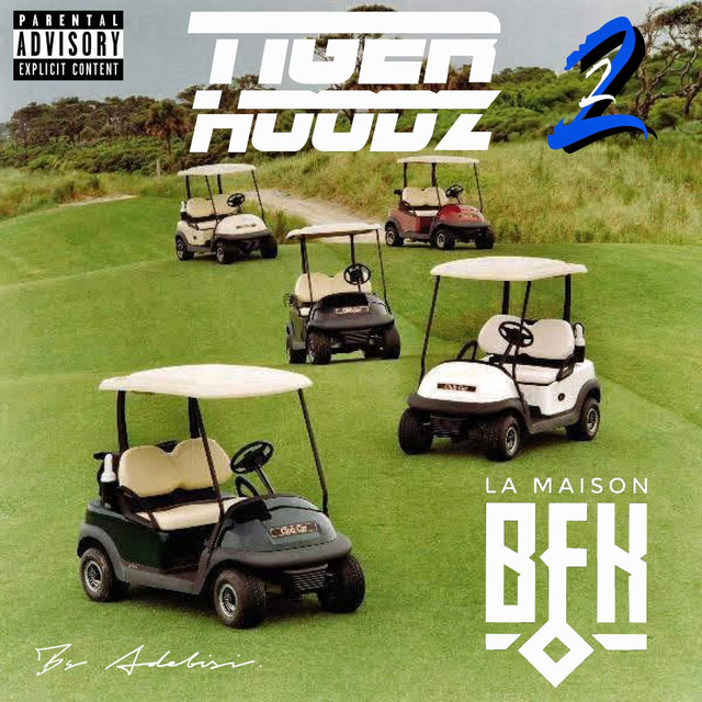 TIGER HOODZ 2 cover art