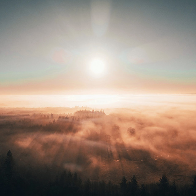 The Repeat album image