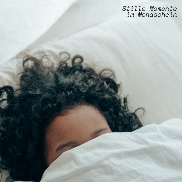 Stille Momente im Mondschein