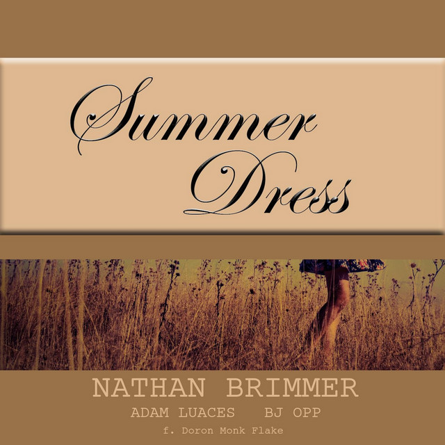 Summer Dress - Single by Nathan Brimmer | Spotify