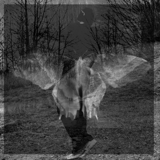 Butterfly Effect cover art