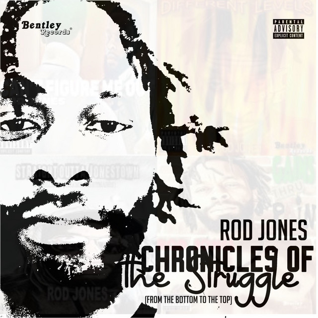 Chronicles of the Struggle (From the Bottom to the Top) cover