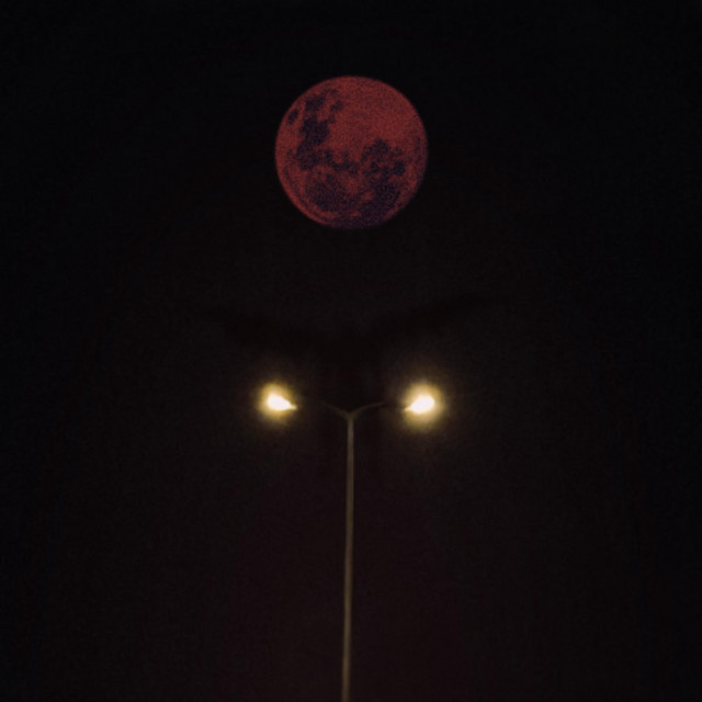 Noc cover art