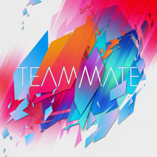 TeamMate cover art