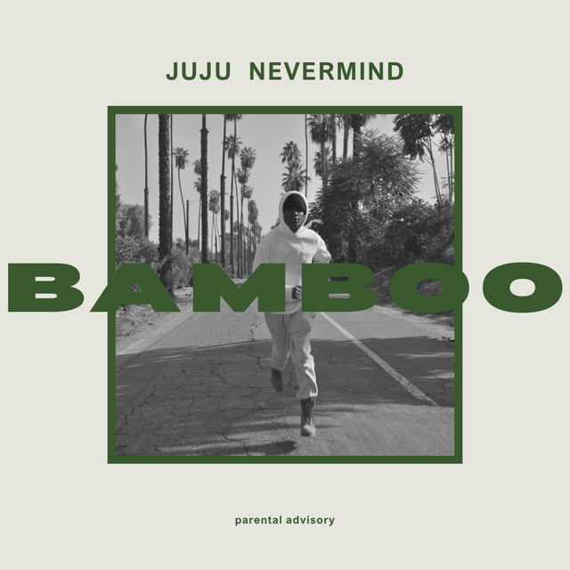 BAMBOO (unmixed unmastered) artwork