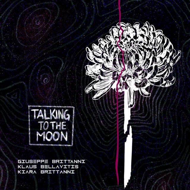 Talking to the Moon cover art