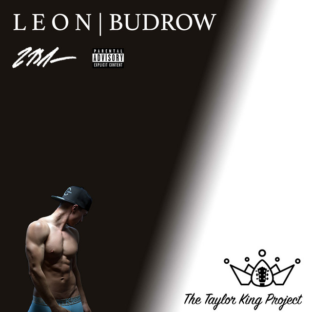 The Taylor King Project cover art