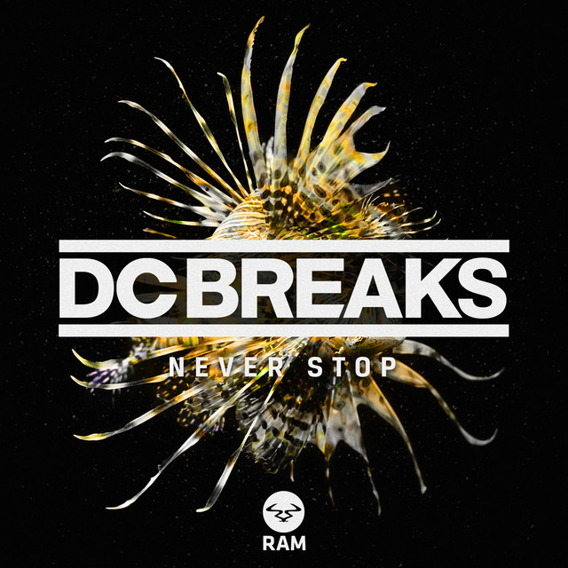 Never Stop artwork