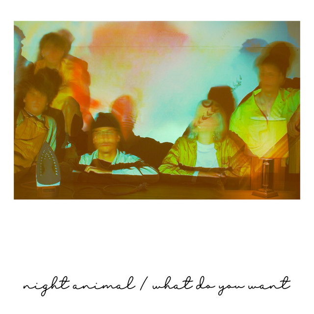 night animal / what do you want cover art