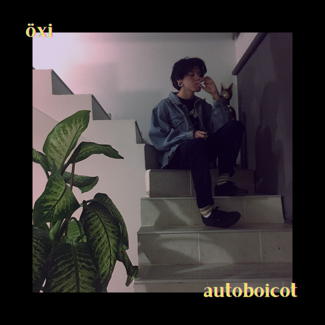 autoboicot cover art