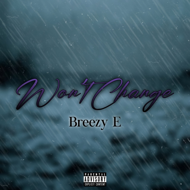Won't Change cover art