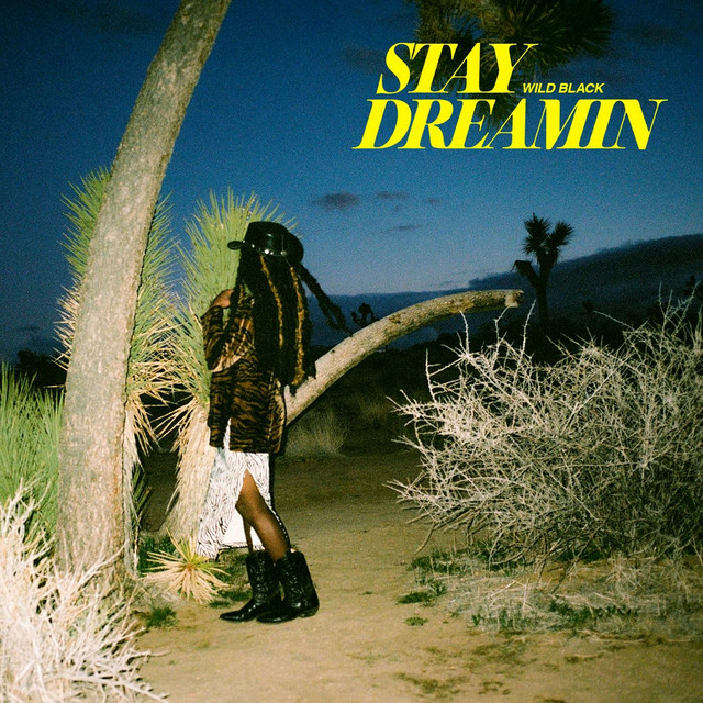 Stay Dreamin cover