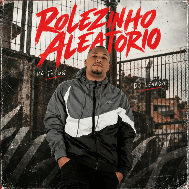 Rolêzinho Aleatório album image
