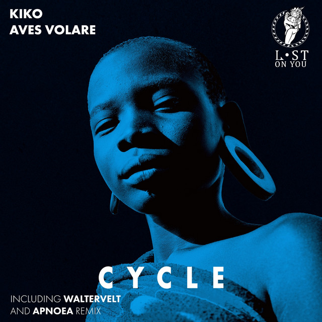 Cycle - Waltervelt Remix album art