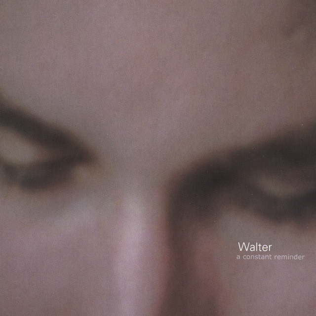a constant reminder cover art