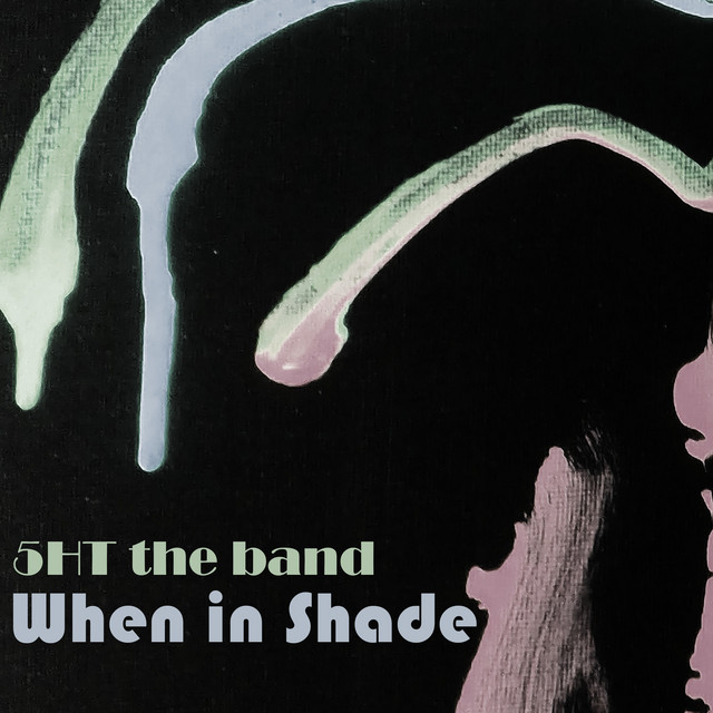 When in Shade cover art