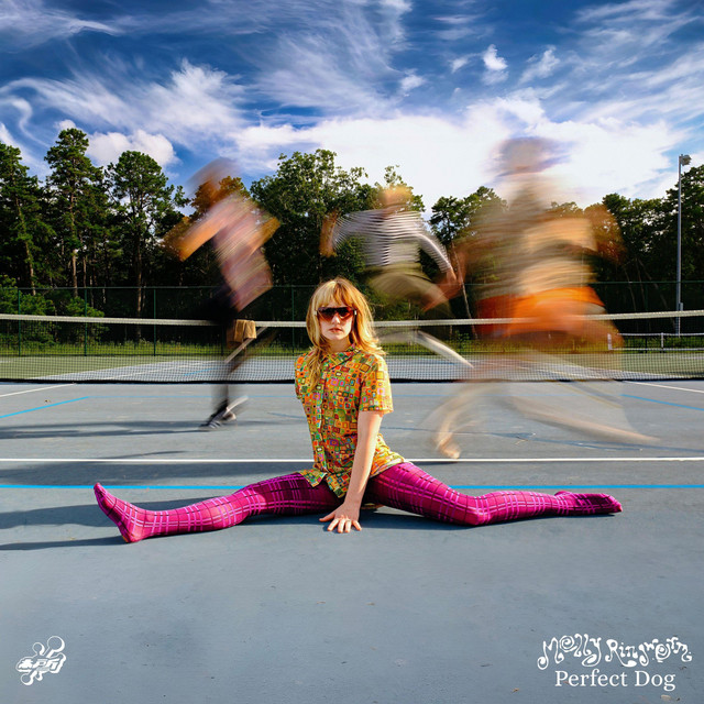 Perfect Dog cover art