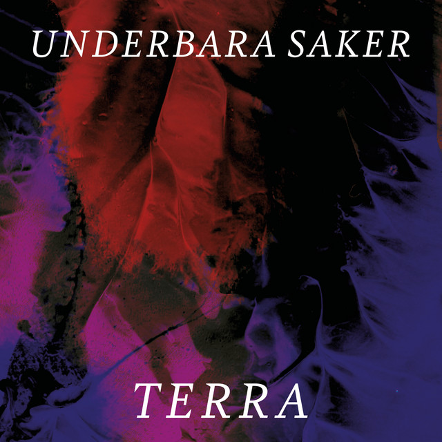 Underbara saker cover art