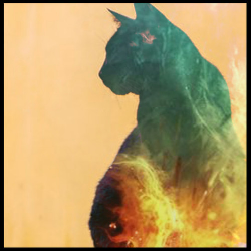 CAT HEART cover art