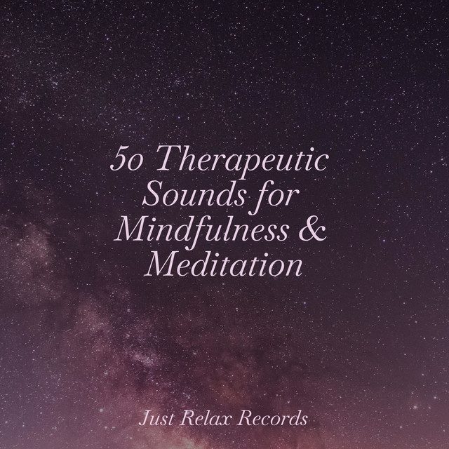 50 Therapeutic Sounds for Mindfulness & Meditation - Album by Reiki ...