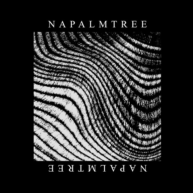 napalmtree cover art