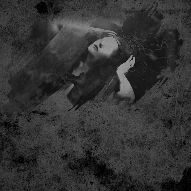 I've Been Shedding Water/The Lines That You Trace (Endlessly You) (single)