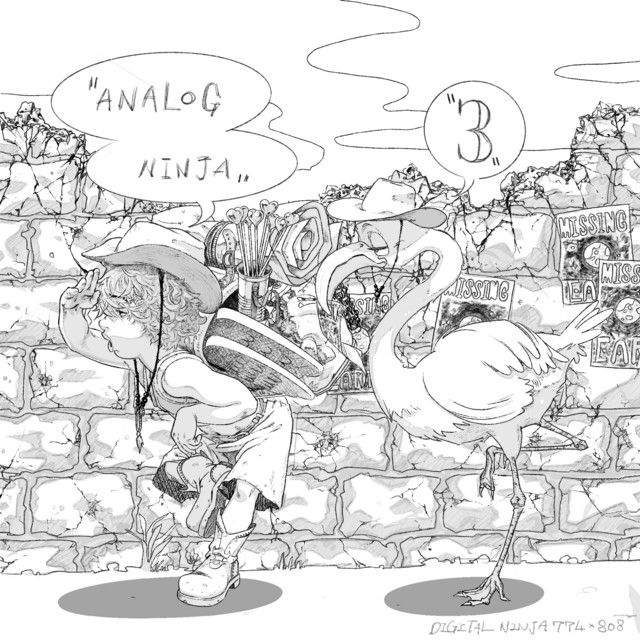 ANALOG NINJA 3 cover art