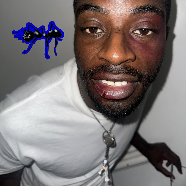 Black Ant 2.5 cover art