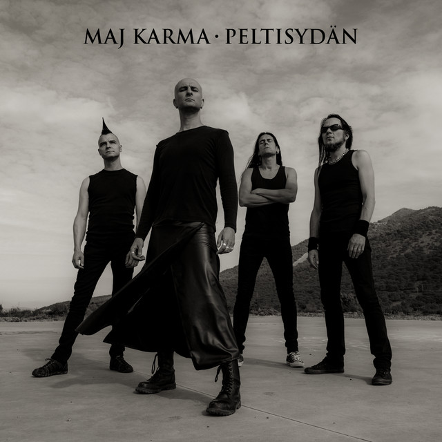 Peltisydän cover art