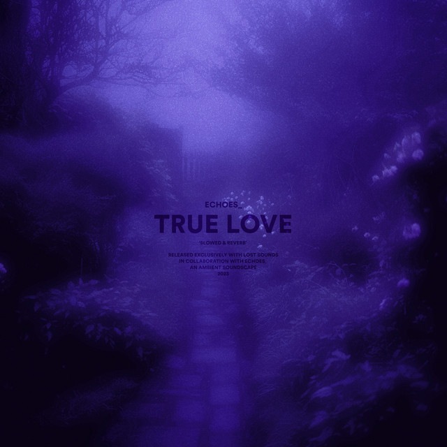 true love (slowed + reverb)
