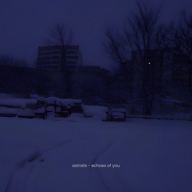 echoes of you artwork