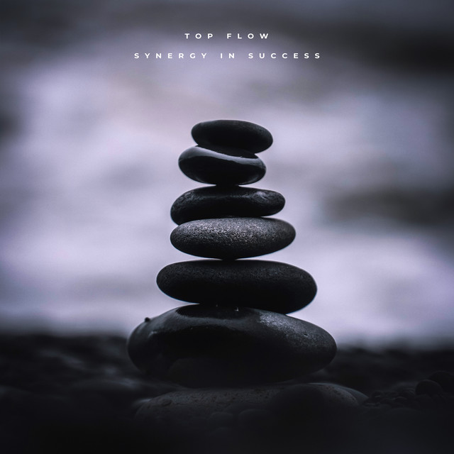 Synergy In Success cover art