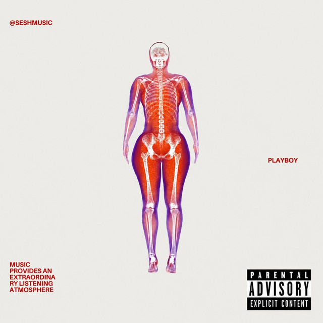 PLAYBOY cover art