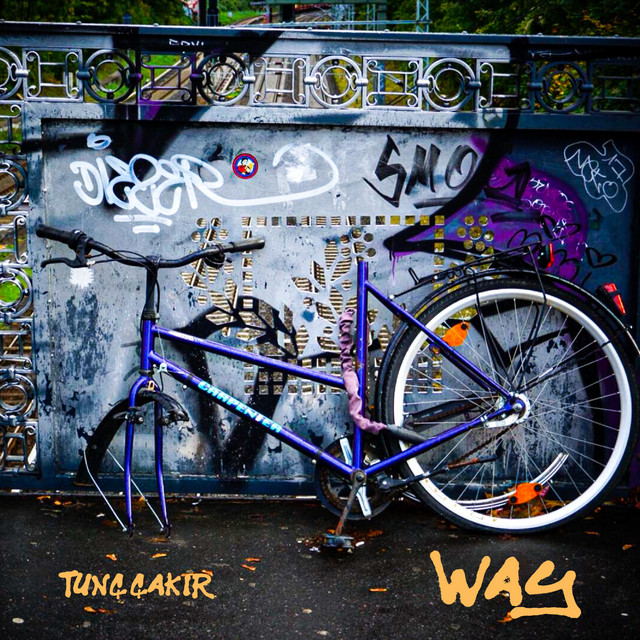 WAY album image