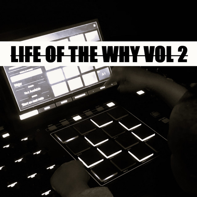 Life Of The Why Vol 2 cover art
